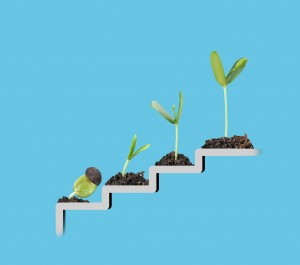 Plant on staircase , growth , development concept